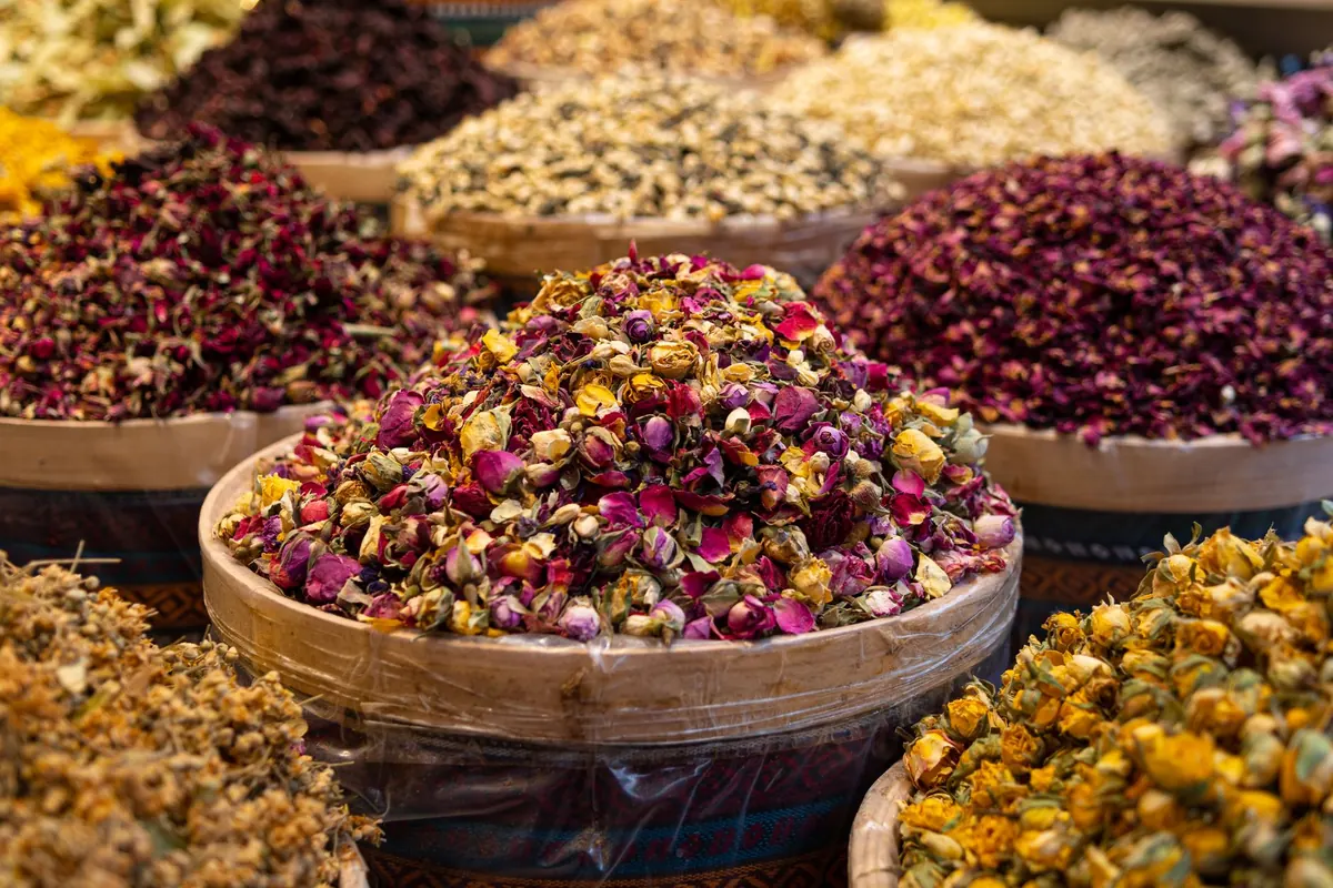Tea Types 101: What White, Green, Oolong, Black, and Pu'er Actually Taste Like